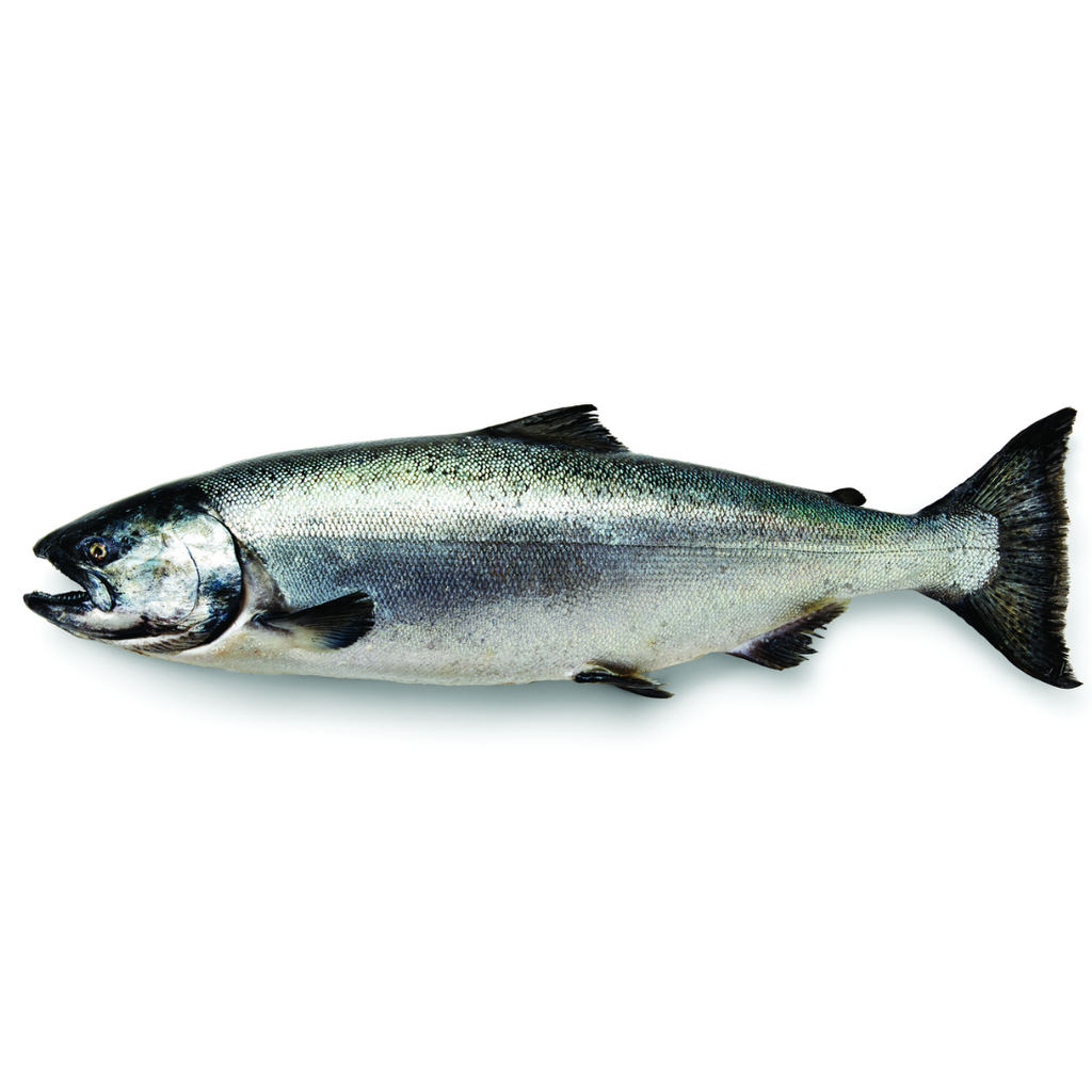5 Reasons To Love Wildfish Cannery Smoked King Salmon