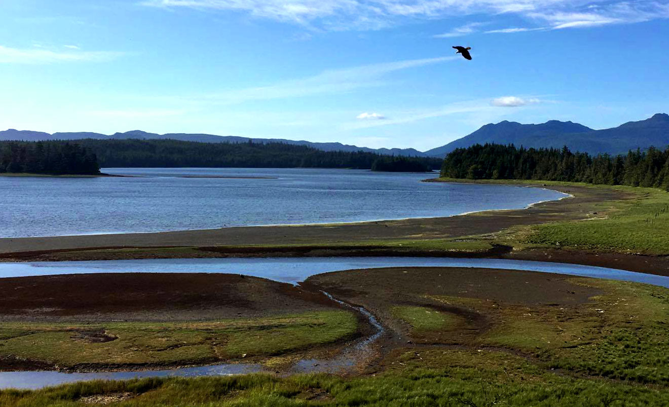 Greetings from Prince of Wales Island, Alaska
