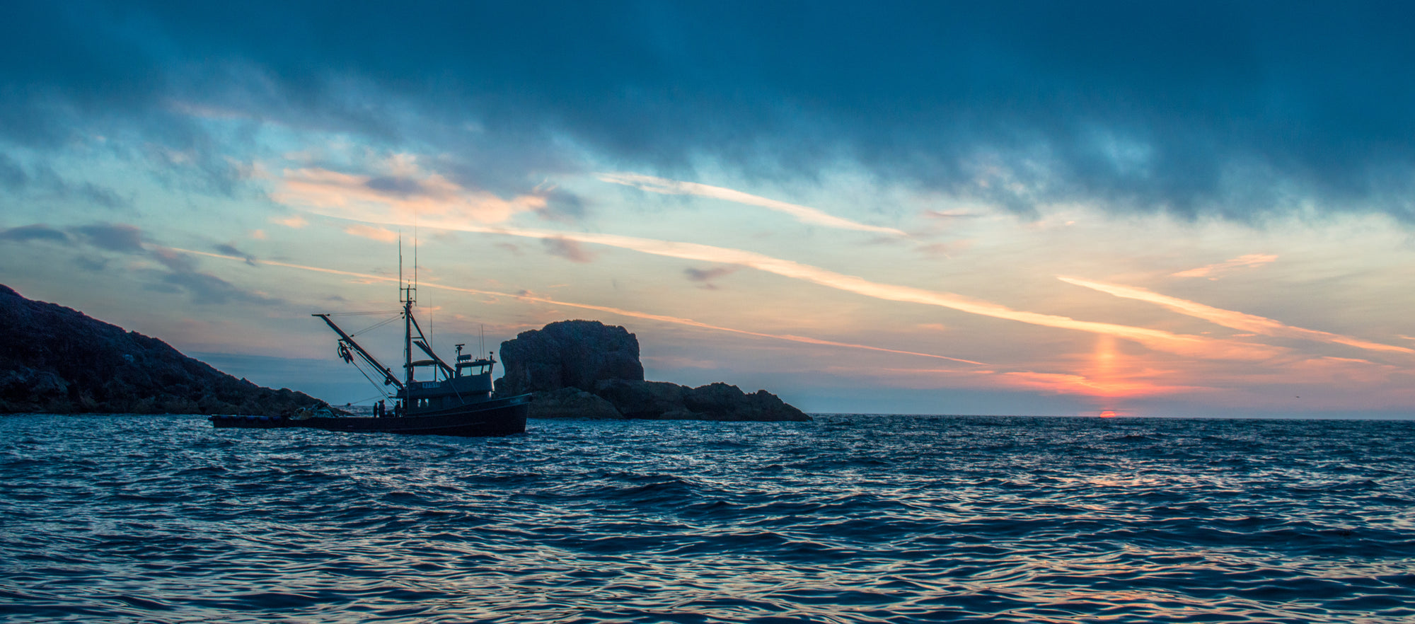 A Wildfish Wild Salmon Primer