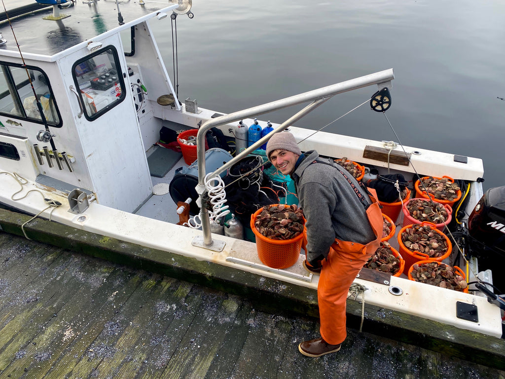 Scallop harvester Evan O'Brien pictured with the day's scallop harvest.