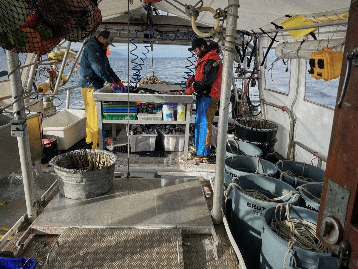 Cod Boat Harvest Black Cod Cheeks in Cultured Butter – Wildfish Cannery