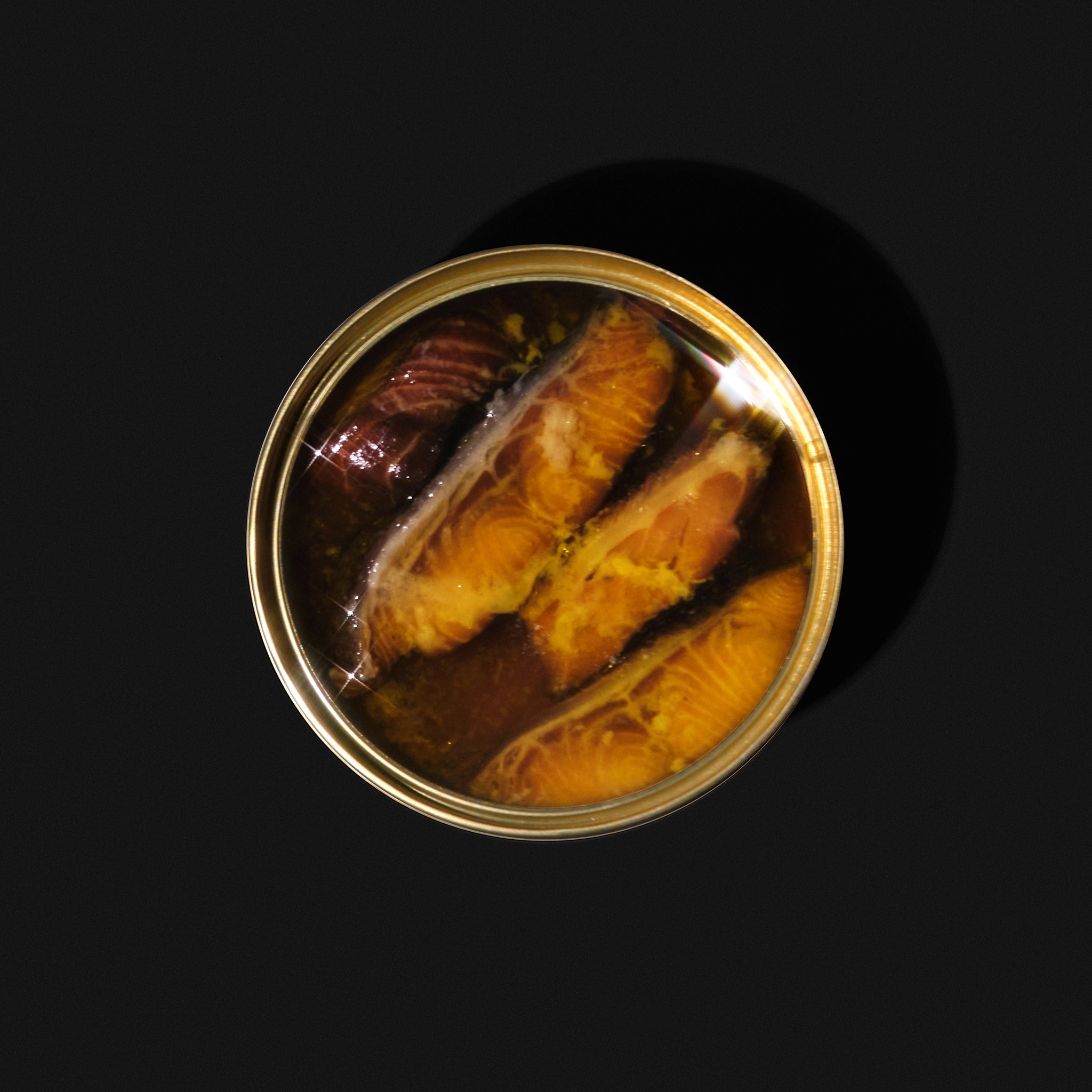 Canned fish in a dark container on a black background