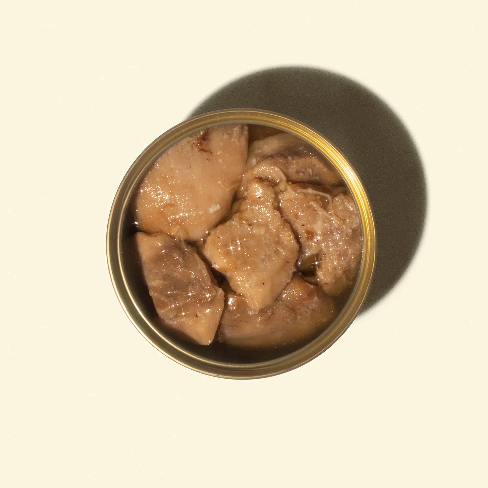 Can of fish meat on a beige background